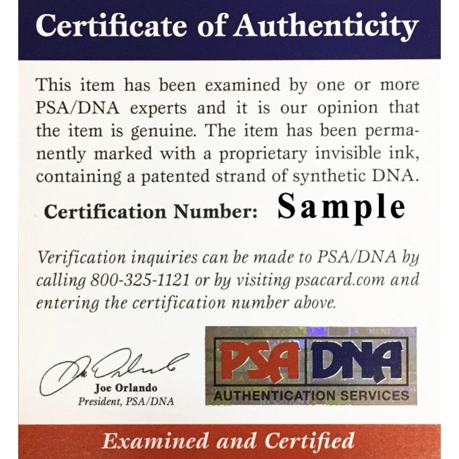 Stan Musial Autographed St Louis Cardinals Signed National League Baseball PSA COA With UV Display Case AN82759 - Image 2